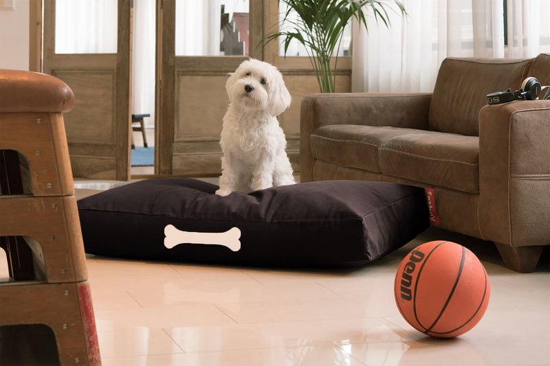 Fatboy Doggielounge Canvas Dog Bed (Large) | Sturdy & durable | Tear- and wear-resistant | Designed for indoor use | Easy to clean | Soft Canvas with Expanded Polystyrene | 80x120x15 cm - Black Licorice - Image 2